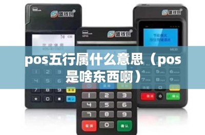 “POS五行属什么”与“POS是啥东西”全解 作为维系人员的硬核指南