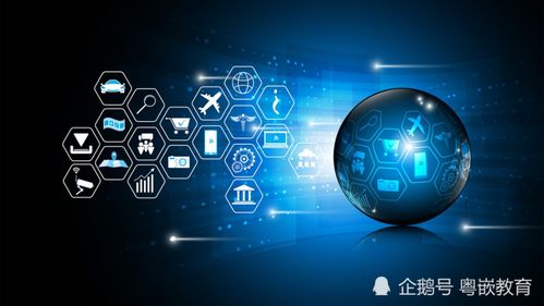 软件开发人员应避免的十大职业错误